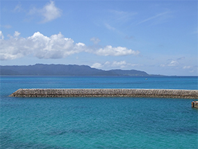 新城島上地港2