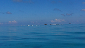 浜島2