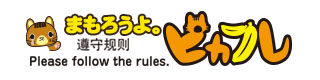 まもろうよピカフレ