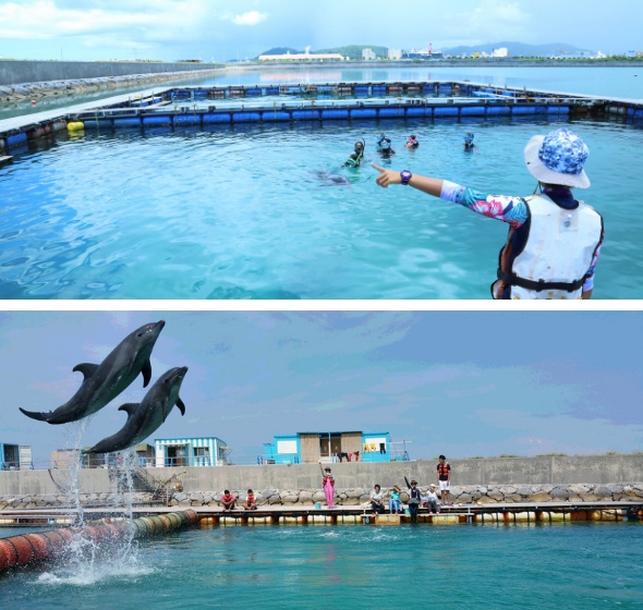 竹富町観光協会｜ 石垣島トラベルセンター