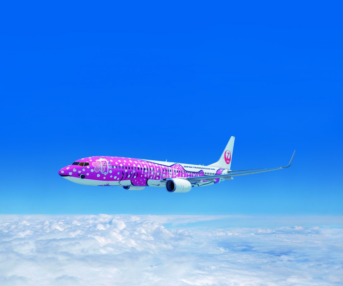 jtaさん　専用 竹富町観光協会｜ JTA八重山支社 八重山営業所